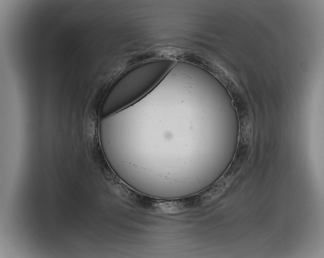 X0000116620417200912110945