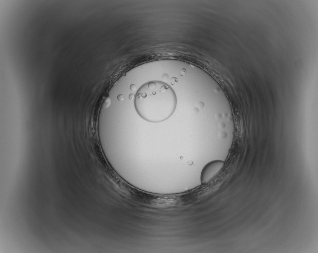 X0000116620418200912110945