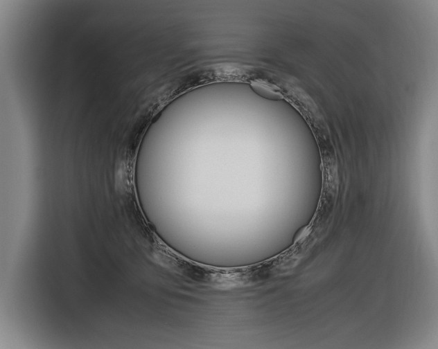 X0000116620419200912110945