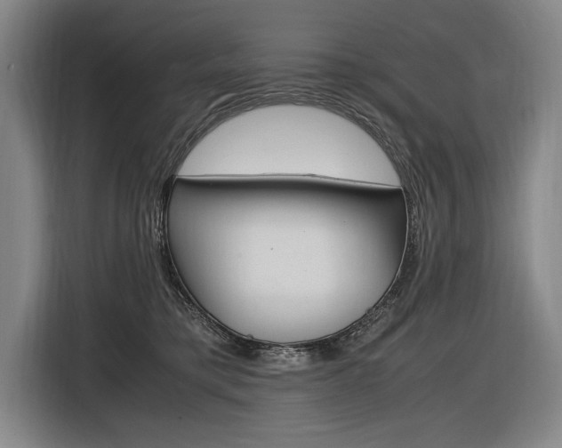 X0000116620421200912110944