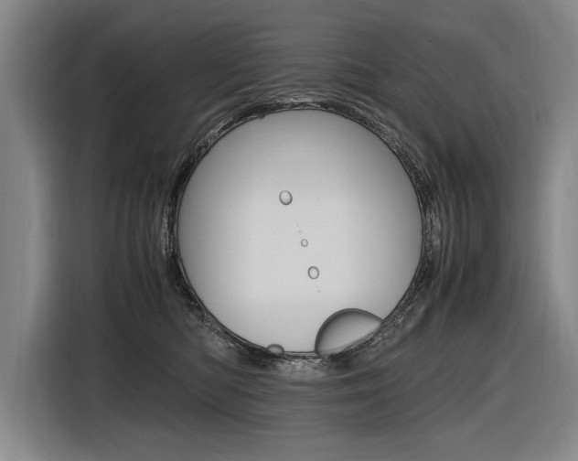X0000116620422200912110944