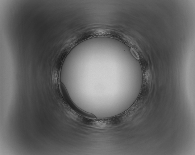 X0000116620423200912110944
