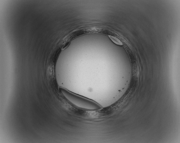 X0000116620425200912110944