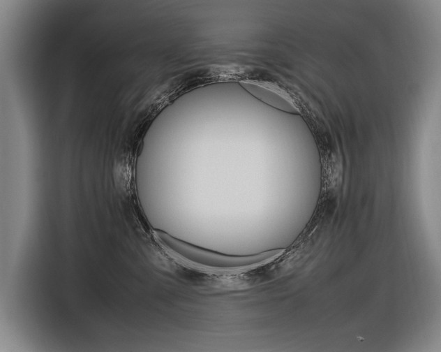 X0000116620427200912110944