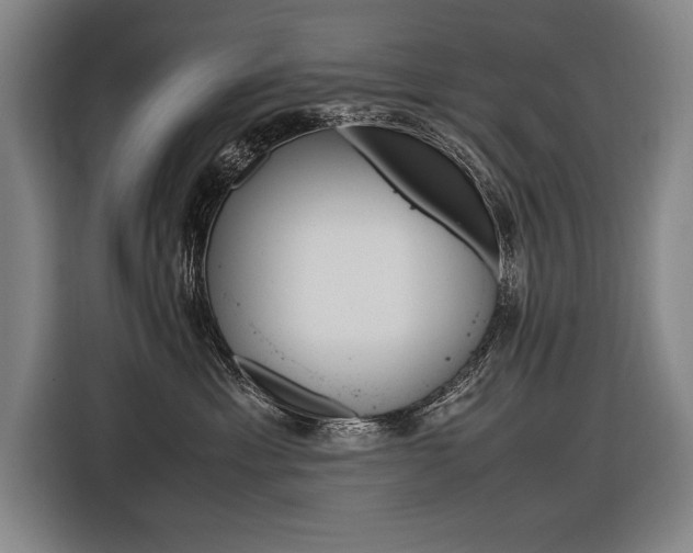 X0000116620429200912110944