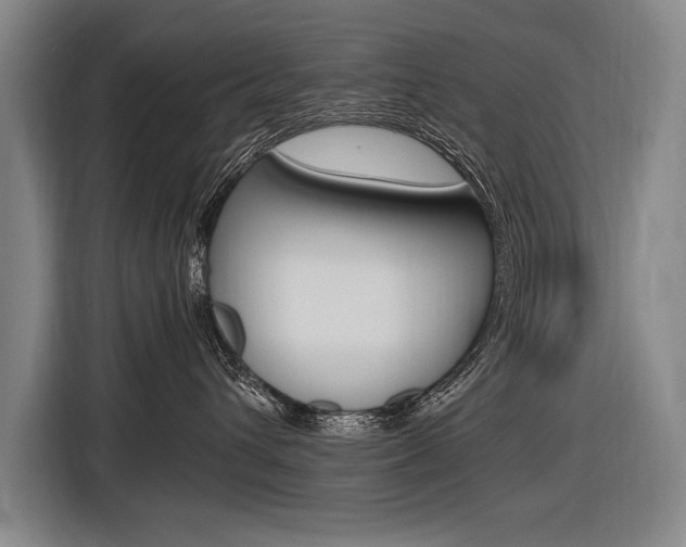 X0000116620432200912110944