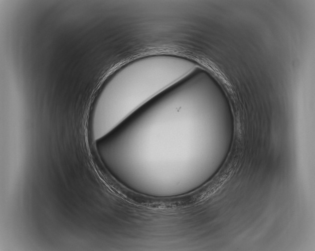 X0000116620434200912110944