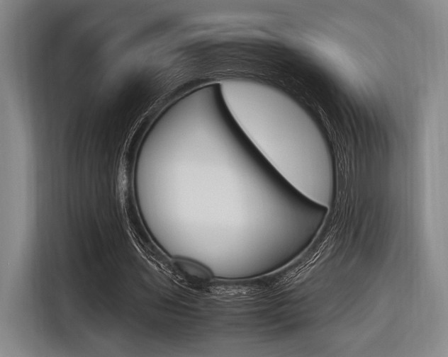 X0000116620435200912110944
