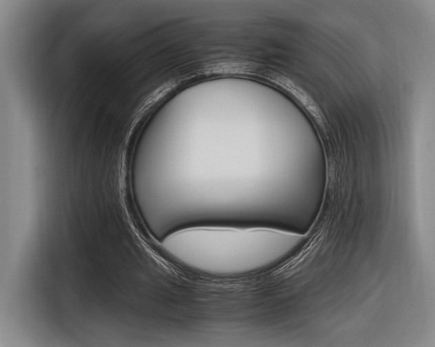 X0000116620437200912110944