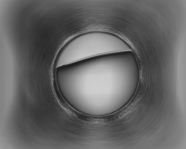 X0000116620438200912110944