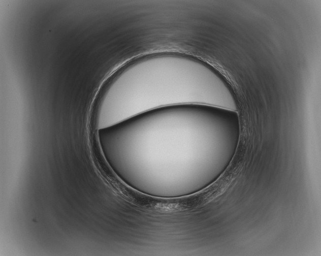 X0000116620440200912110944