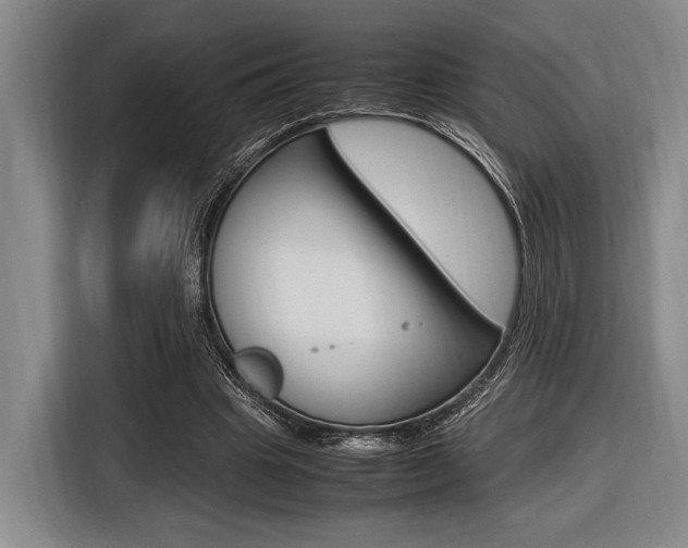X0000116620441200912110944