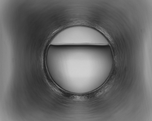 X0000116620442200912110944