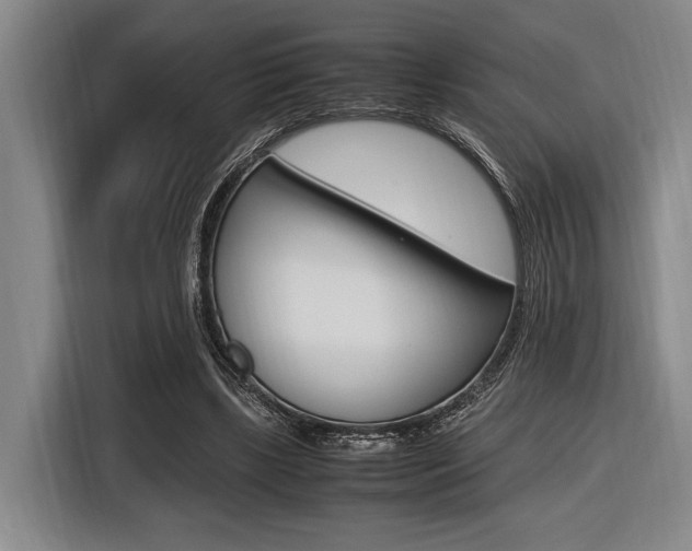 X0000116620443200912110944