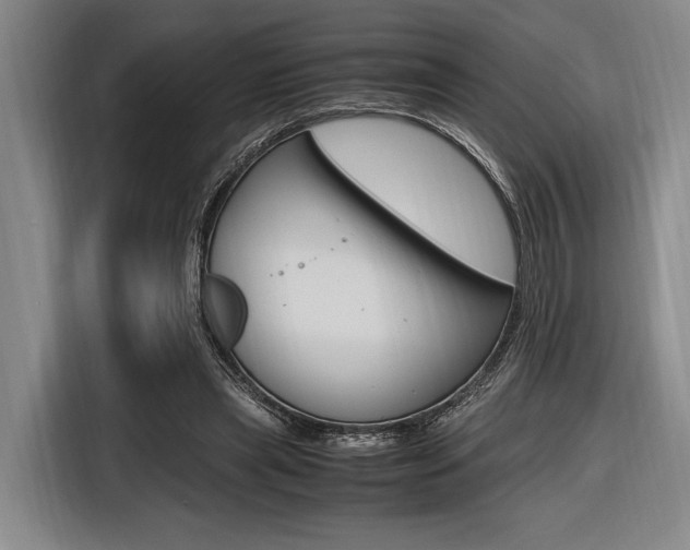 X0000116620445200912110944