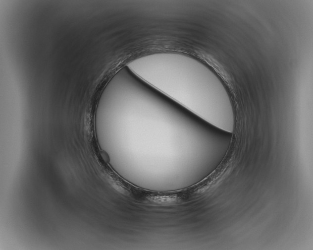 X0000116620449200912110944