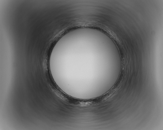X0000116620450200912110944