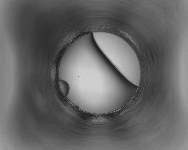 X0000116620451200912110944