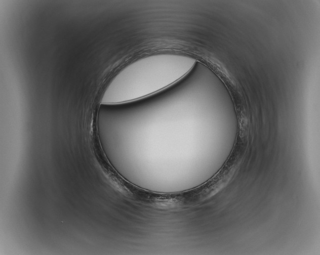 X0000116620454200912110944