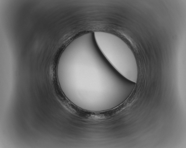 X0000116620455200912110944