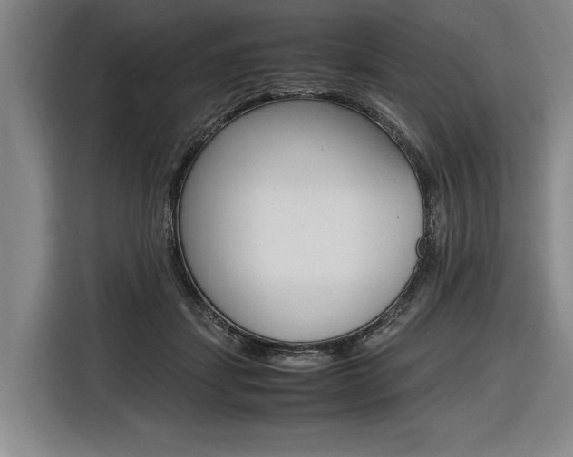 X0000116620459200912110944