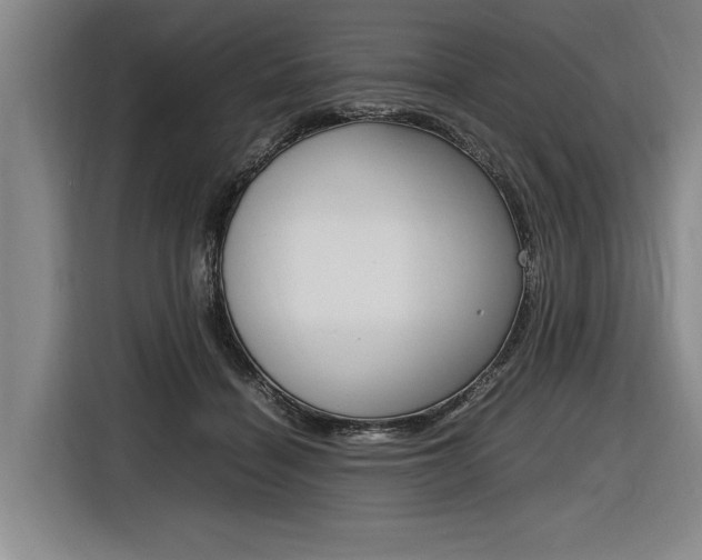 X0000116620460200912110944