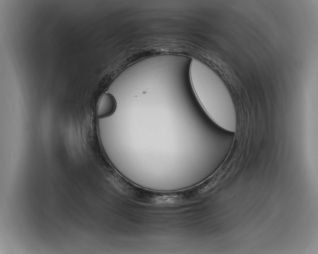 X0000116620461200912110944
