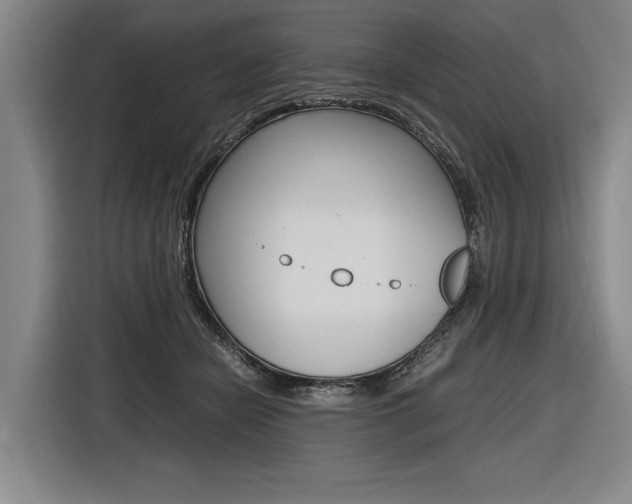X0000116620462200912110944
