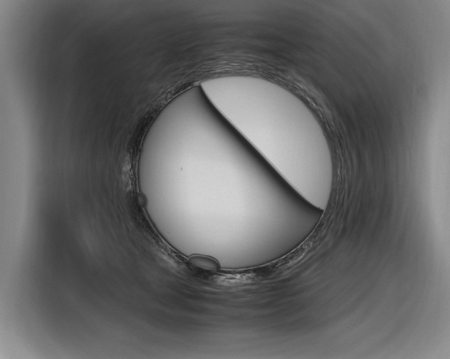X0000116620465200912110944