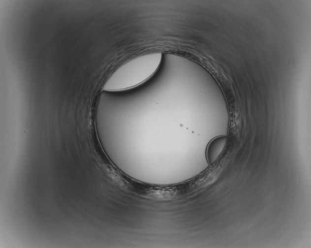 X0000116620466200912110944