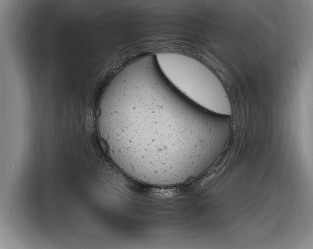 X0000116620469200912110944