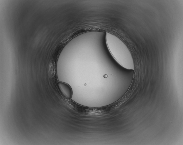 X0000116620471200912110944