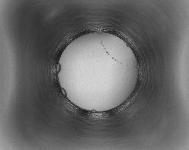 X0000116620473200912110944