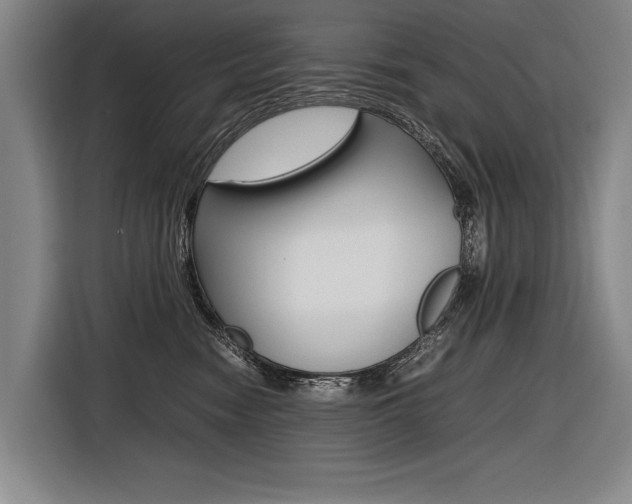 X0000116620474200912110944