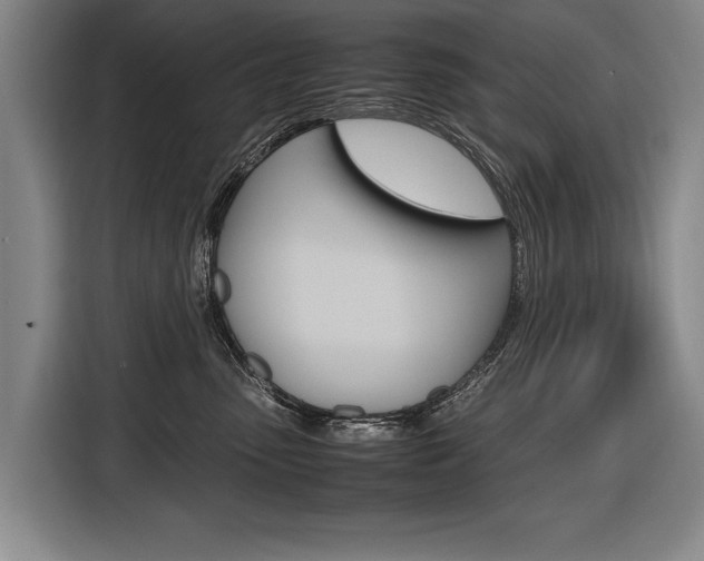 X0000116620475200912110944