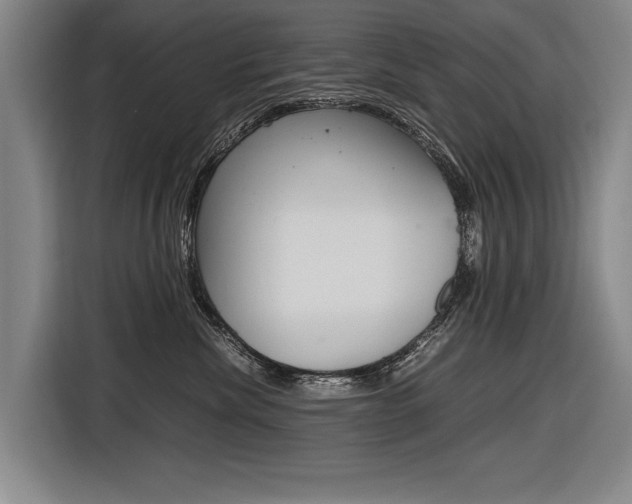 X0000116620476200912110944