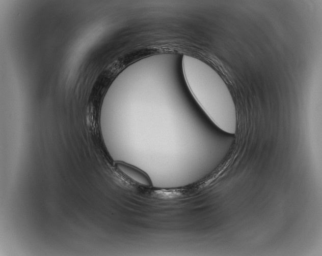 X0000116620477200912110944