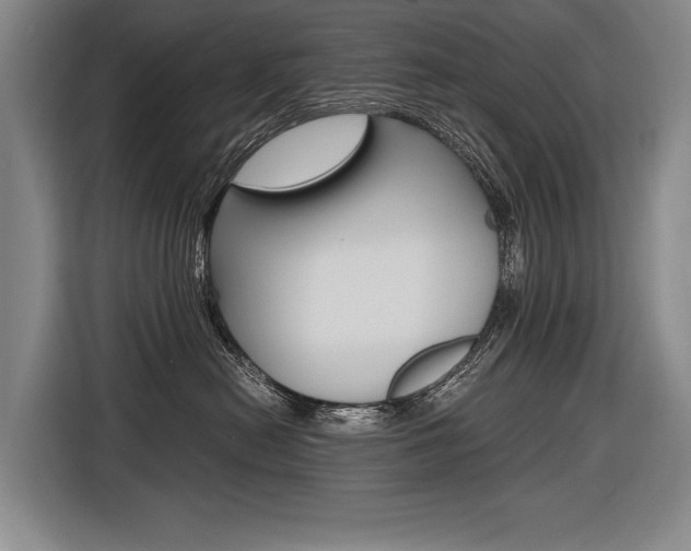 X0000116620478200912110944