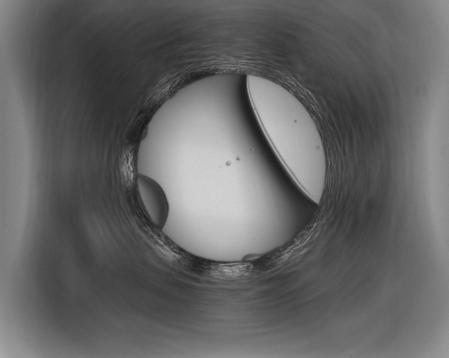 X0000116620479200912110944