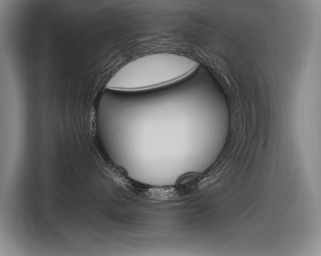 X0000116620480200912110944