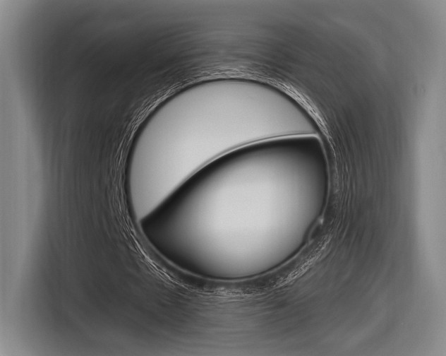X0000116620481200912110944