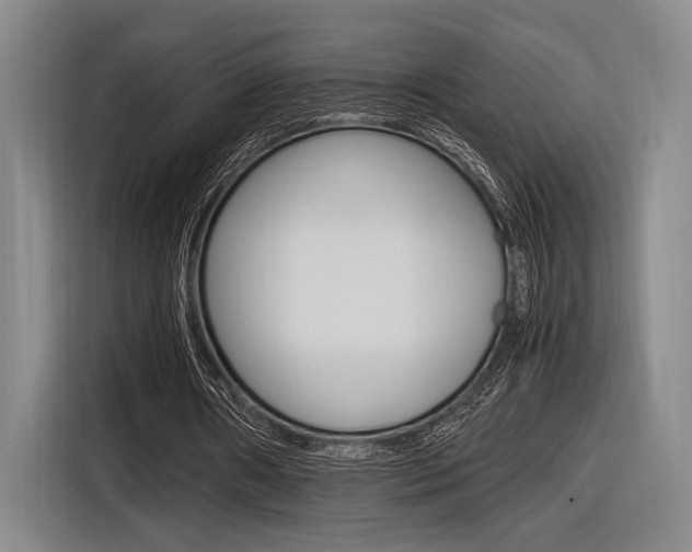 X0000116620482200912110944