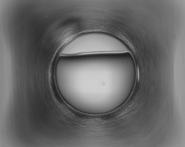 X0000116620483200912110944