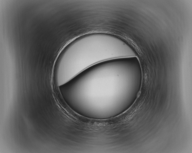 X0000116620484200912110944