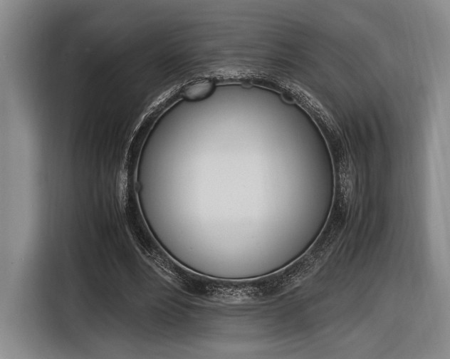 X0000116620488200912110944