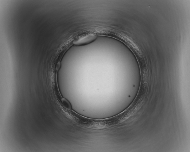 X0000116620489200912110944