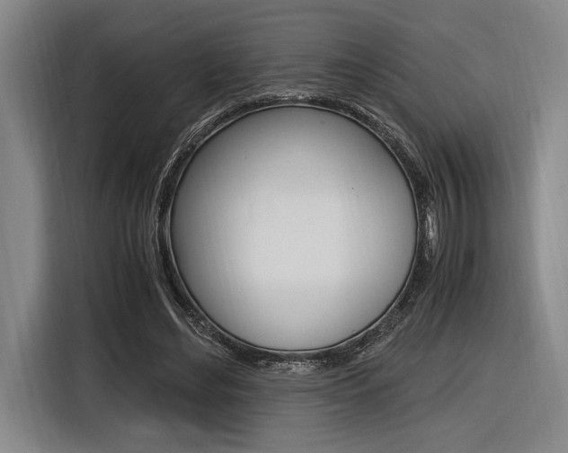 X0000116620492200912110944