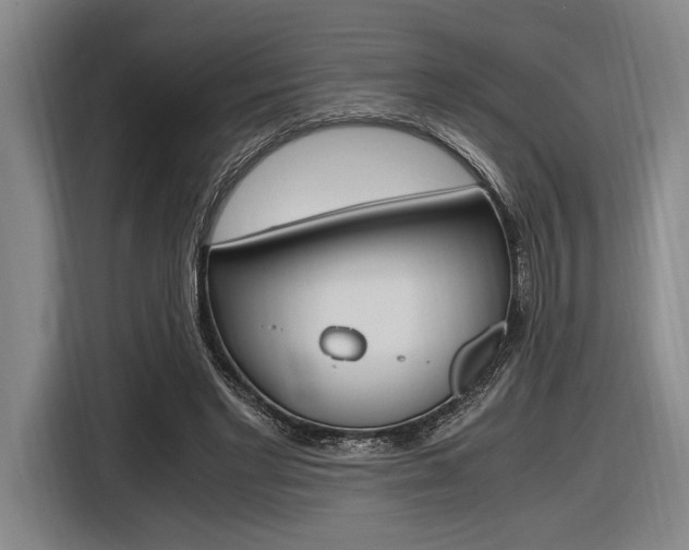X0000116620493200912110944