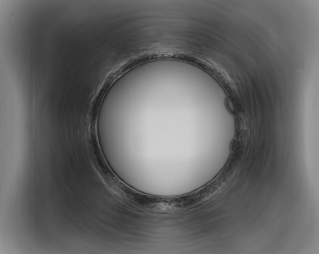 X0000116620496200912110944