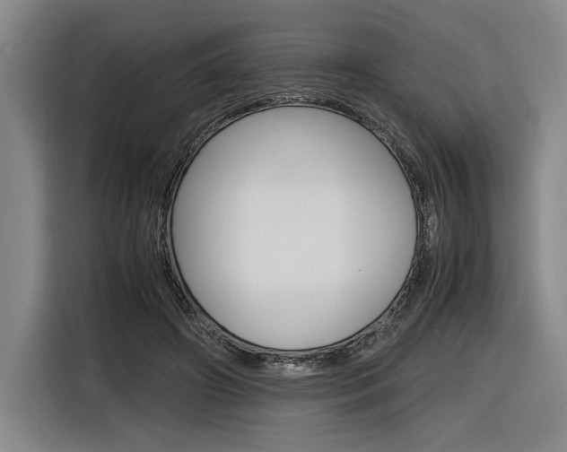 X0000116620498200912110943